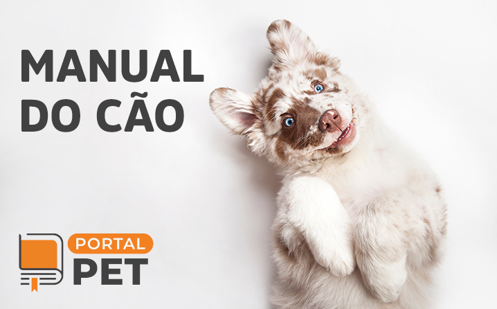 Ranking dos cachorros de grande porte - Portal do Dog