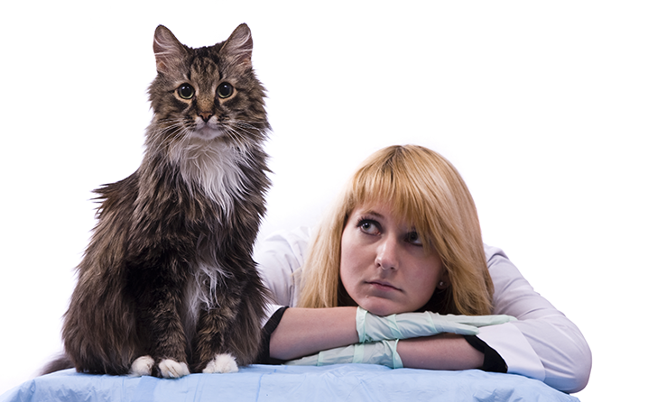 A saúde mental do médico-veterinário