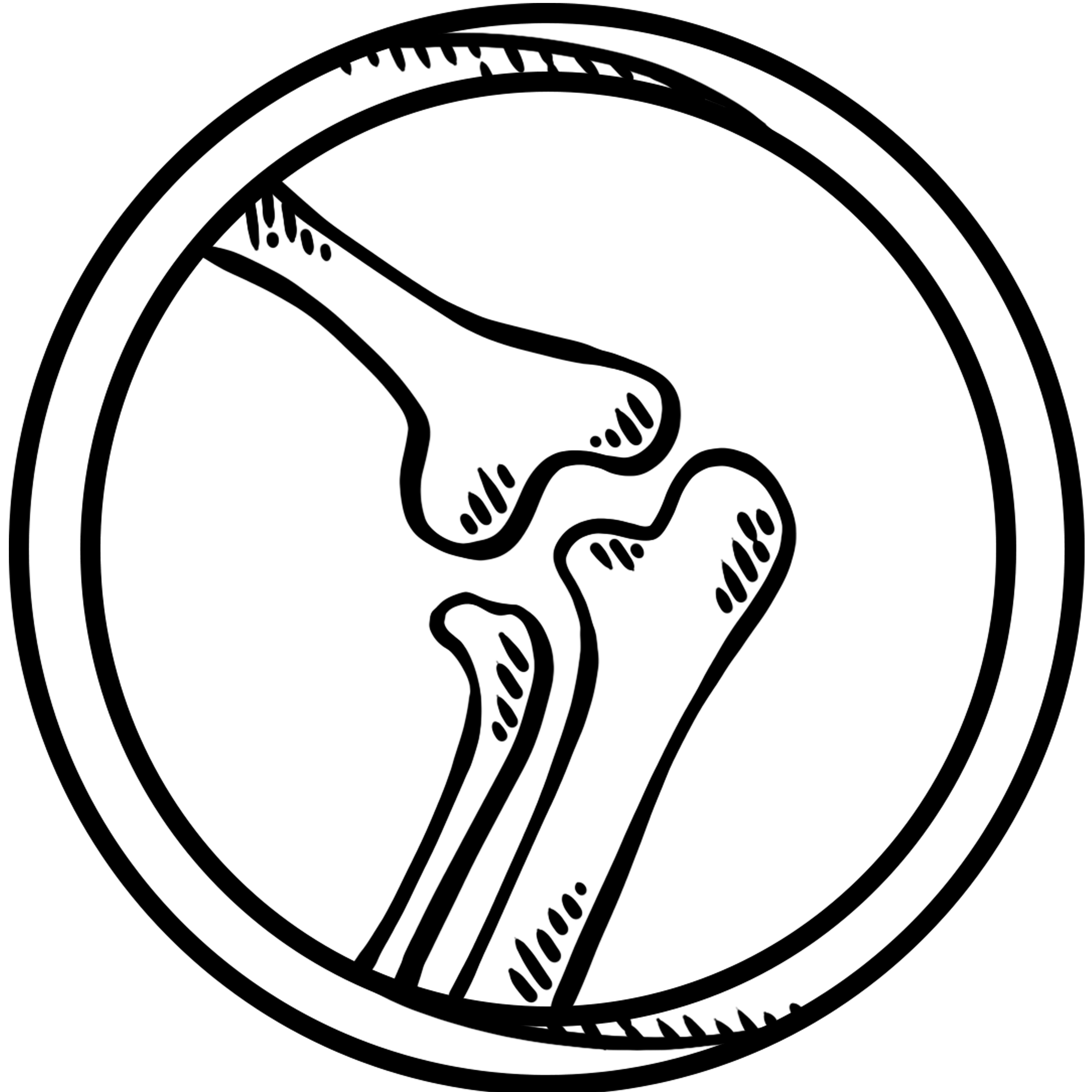 CONDROITINA + GLUCOSAMINA