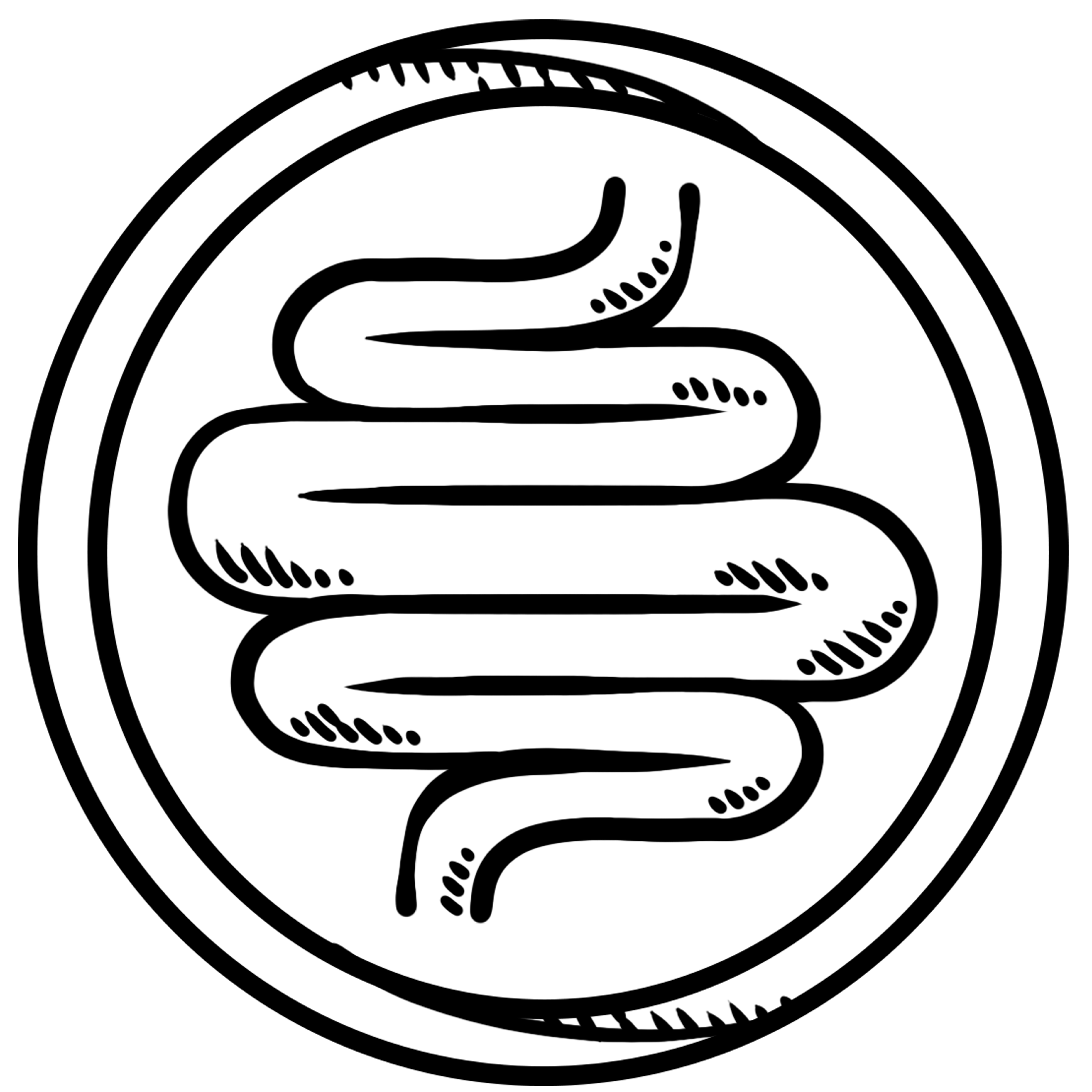 PREBIÓTICOS Y PROBIÓTICOS