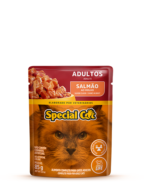 SACHÊ SPECIAL CAT ADULTOS SABOR SALMÃO