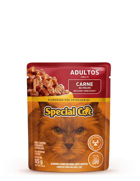 SACHÊ SPECIAL CAT ADULTOS SABOR CARNE