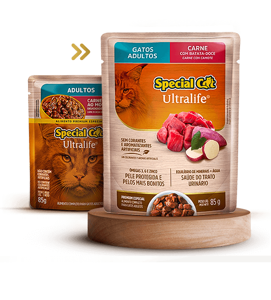 SACHET SPECIAL CAT ULTRALIFE ADULTOS SABOR CARNE