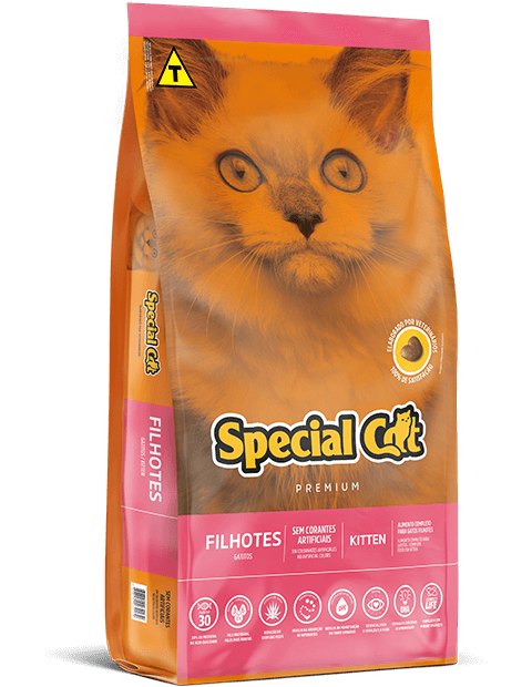 SPECIAL CAT GATITOS