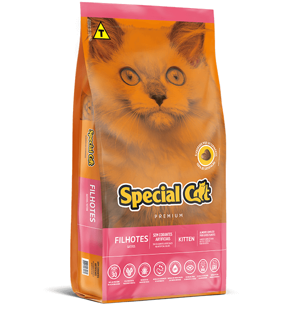 SPECIAL CAT GATITOS