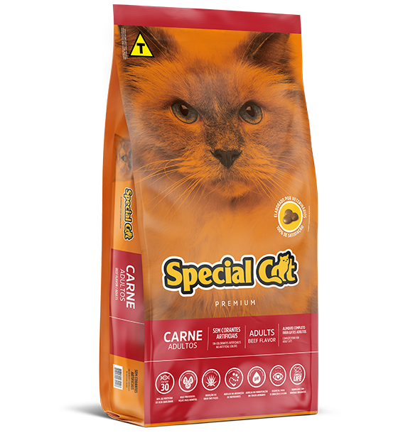 SPECIAL CAT ADULTS BEEF FLAVOR