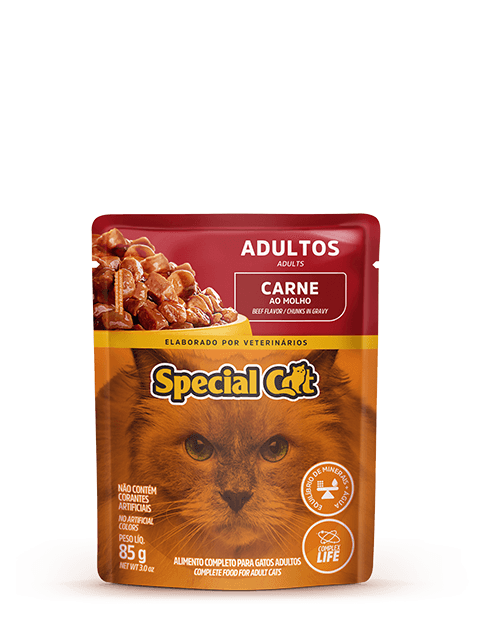 SPECIAL CAT WET FOOD ADULT CATS BEEF FLAVOR CHUNKS IN GRAVY