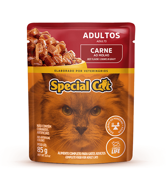 SPECIAL CAT WET FOOD ADULT CATS BEEF FLAVOR CHUNKS IN GRAVY