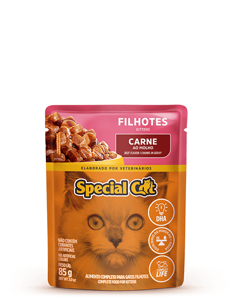 SPECIAL CAT WET FOOD KITTENS BEEF FLAVOR CHUNKS IN GRAVY