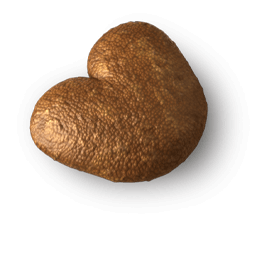 SPECIAL DOG SMALL SIZE PUPPY FOOD BEEF FLAVOR