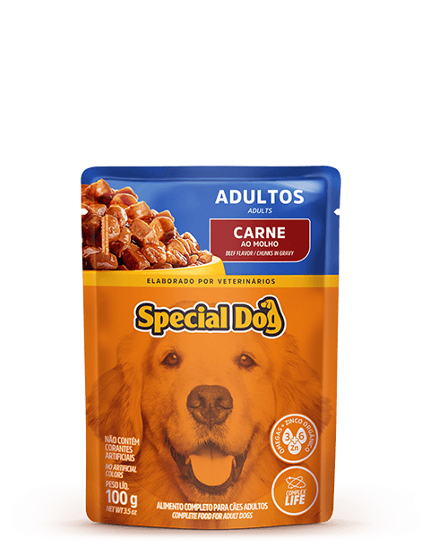 SPECIAL DOG WET FOOD ADULT DOGS BEEF FLAVOR CHUNKS IN GRAVY