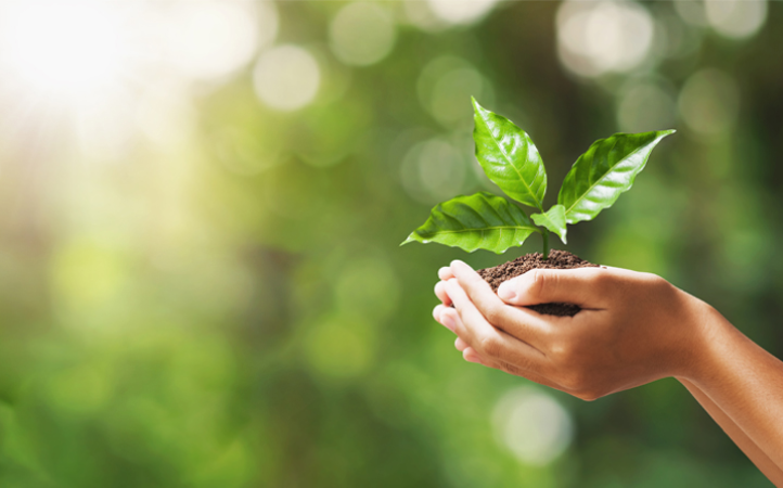 Nossa jornada de sustentabilidade