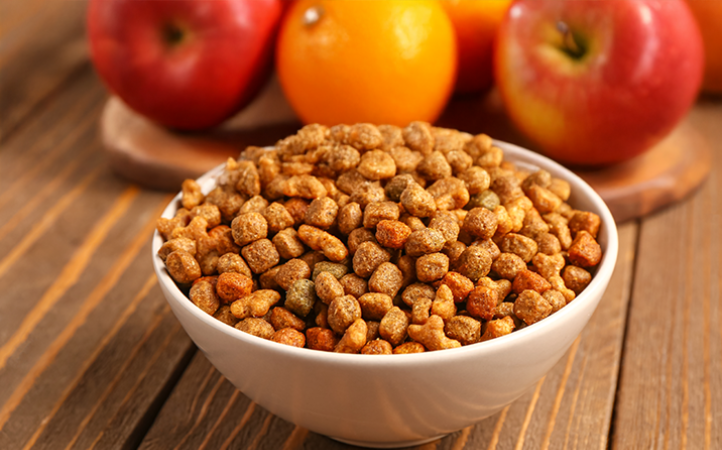 a-importancia-da-fibra-na-nutricao-pet-para-alem-da-digestibilidade