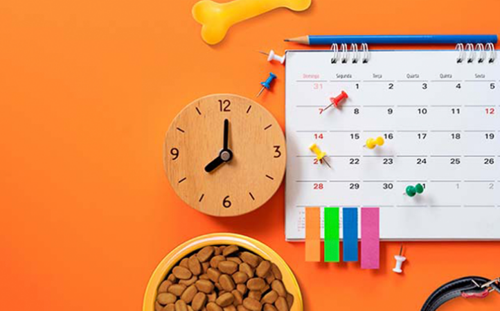 Calendário de datas comemorativas para o mercado pet.
