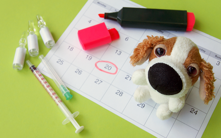 calendario-de-vacinas-saiba-a-importancia-de-imunizar-o-seu-pet-