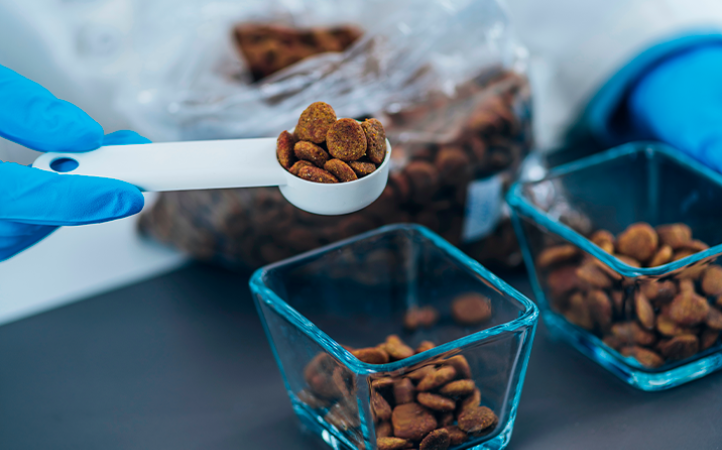 conheca-o-primeiro-alimento-completo-produzido-no-brasil-com-super-proteina-de-insetos-e-carbono-responsavel-