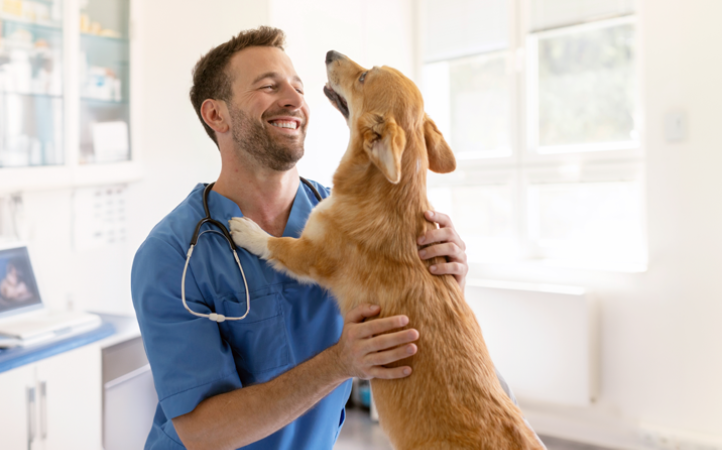 dia-do-medico-veterinario-e-a-importancia-da-profissao