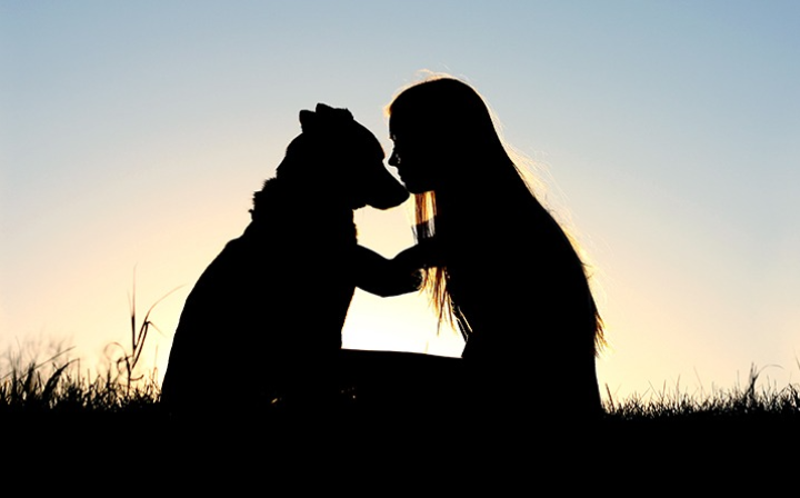 do-cuidado-em-vida-a-despedida-uma-nova-fronteira-de-atuacao-para-o-setor-pet