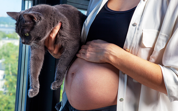 mitos-e-verdades-toxoplasmose-em-gatos-e-mulheres-gravidas-