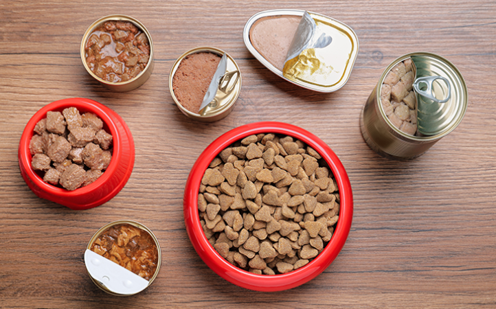 mix-feeding-quais-os-beneficios-para-os-pets-