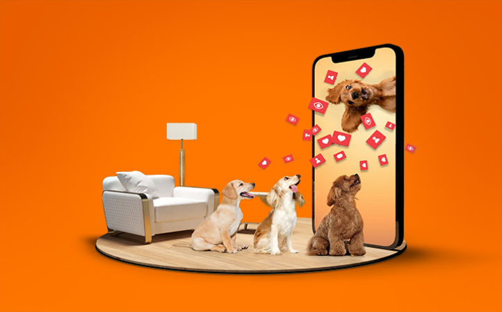 publicidade-na-medicina-veterinaria-e-na-zootecnia