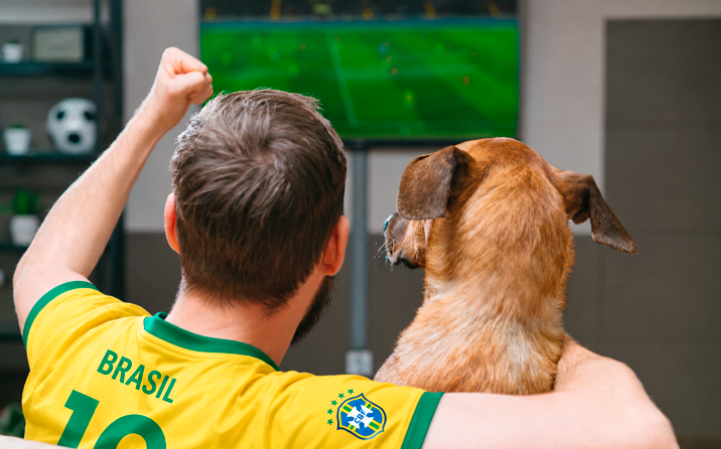 Veja como proteger cães e gatos durante jogos e comemorações