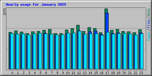 Hourly usage for January 2025